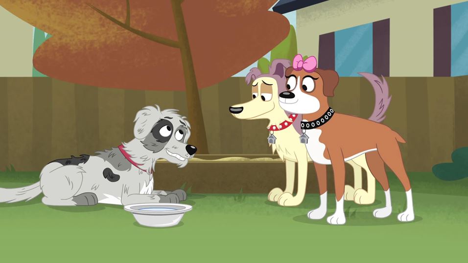 puppies episodes pin pound puppies episode guide image search results on puppies episodes pin pound puppies episode guide image search results on
